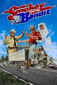 Çılgın poster