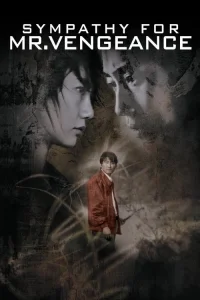 Haklı İntikam poster