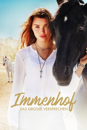 Das große Versprechen poster