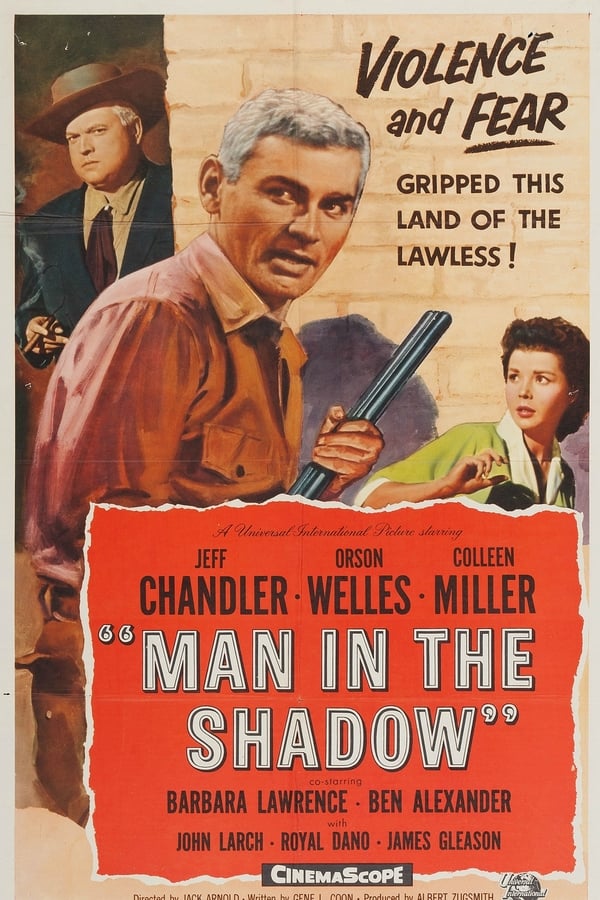 Man in the Shadow poster