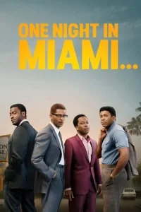 Miami’de Bir Gece poster