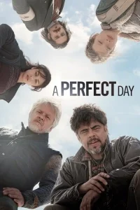 Mükemmel Bir Gün poster