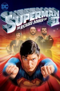 Superman Reformları poster